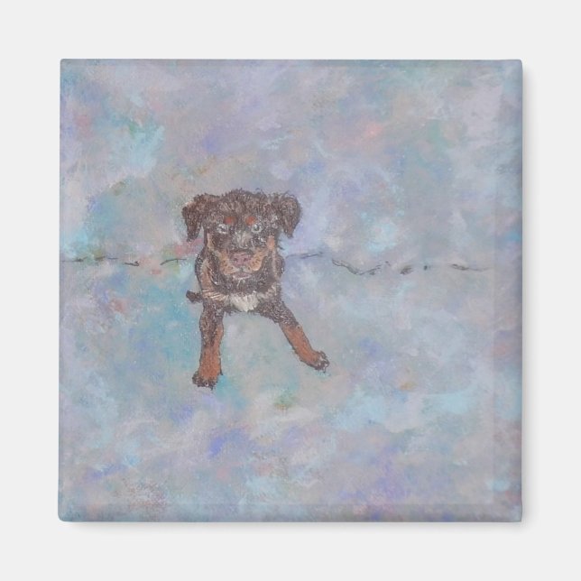 Íman Ímã de Mistura de Lab Cute (Frente)