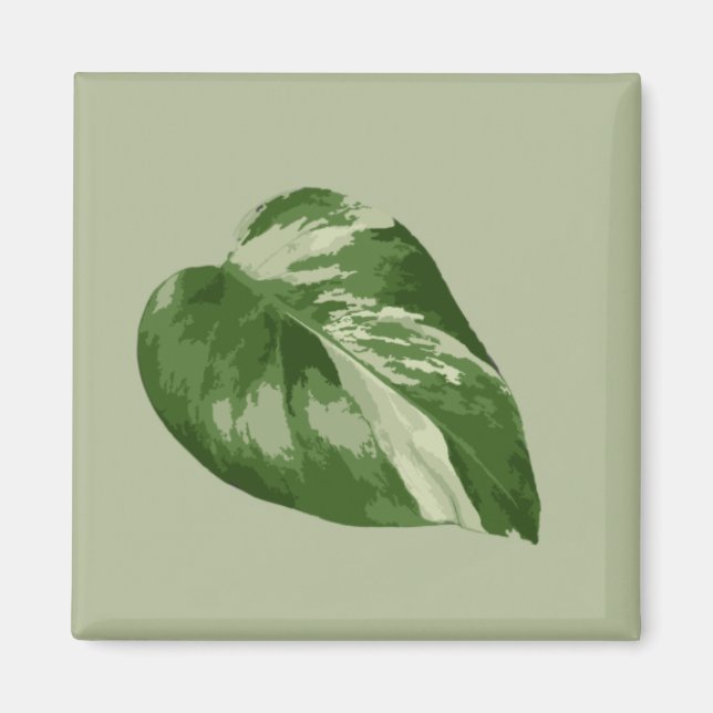 Íman Ímã de Monstera Albo Variegada (Frente)