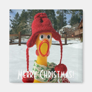 Íman Ímã de Natal de Frango Adorável!