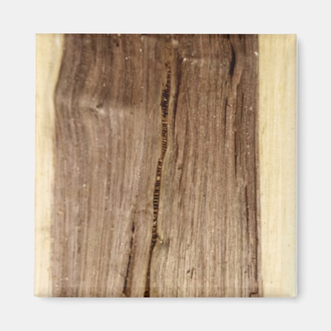 Íman Ímã de Noz Americana (Frente)