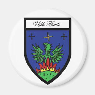 Íman Ímã de Offaly do condado