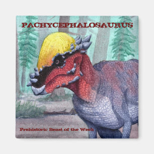 Íman Ímã de Pachycephalosaurus