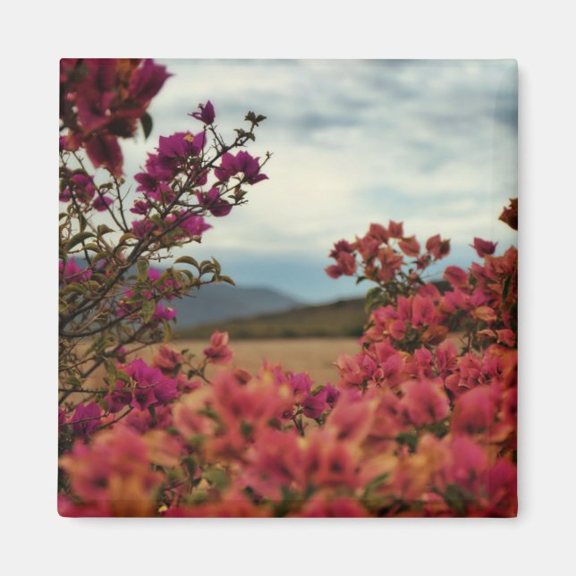 Íman Ímã de Paisagem de Flores de Bougainvillea Vermelh (Frente)