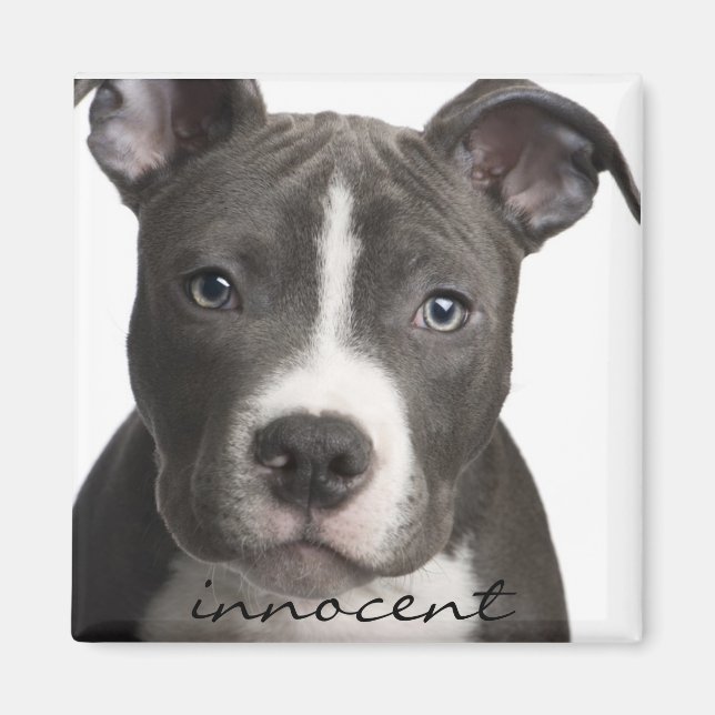 Íman Ímã-de-papoila-gigante inocente (Frente)