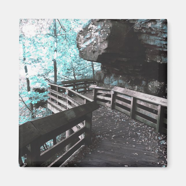 Íman ímã de passeio de brandywine (Frente)