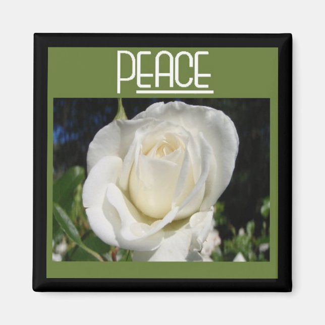 Íman ímã de paz (Frente)