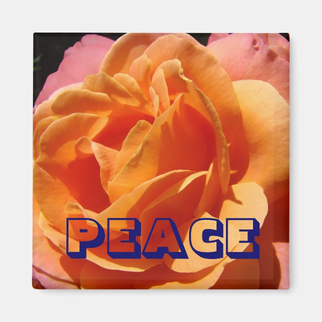 Íman ímã de PAZ Laranja Rosa Flor natureza (Frente)