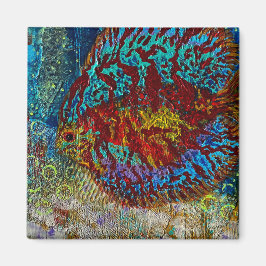 Íman Ímã de Peixe de Disco