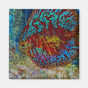 Íman Ímã de Peixe de Disco