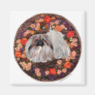 Íman Ímã de Pekingese
