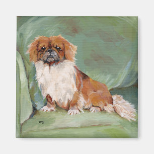 Íman Ímã de Pekingese