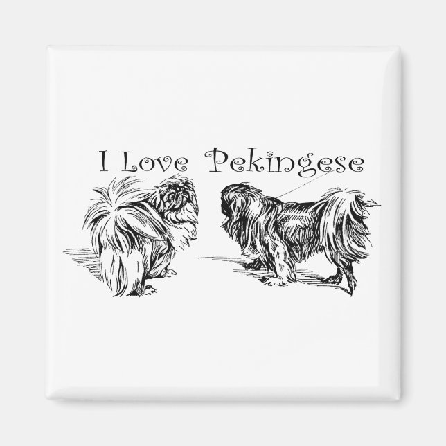 Íman Ímã de Pekingese (Frente)