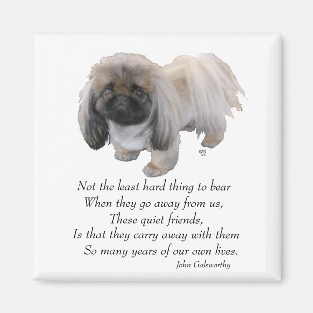 Íman Ímã de Pekingese (Frente)