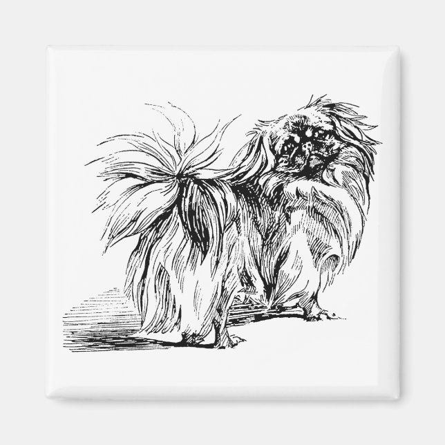 Íman Ímã de Pekingese (Frente)