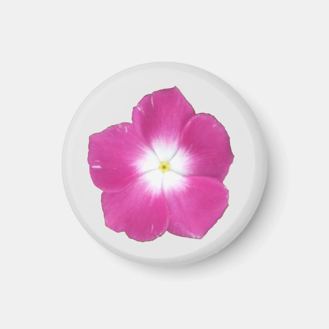 Íman Ímã de Phlox Rosa Escuro (Frente)