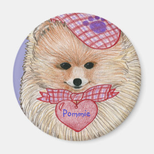 Íman Ímã de Pomeranian