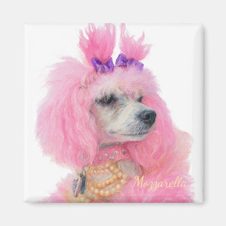 Íman Ímã de poodle rosa, decoração de poodle