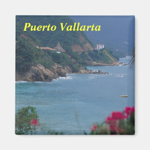 Íman ímã de Puerto Vallarta