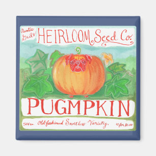 Íman Ímã de Pugmpkin
