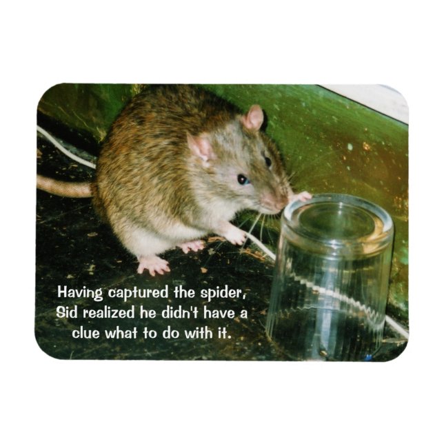 Íman ímã de rato engraçado (Horizontal)