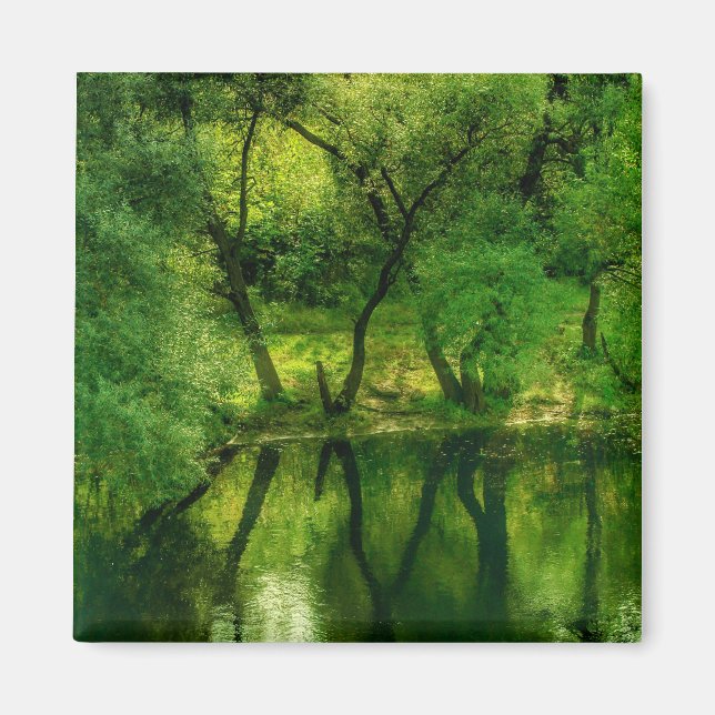 Íman Ímã de Reflexo de Árvores no Rio Super Verde / Lag (Frente)