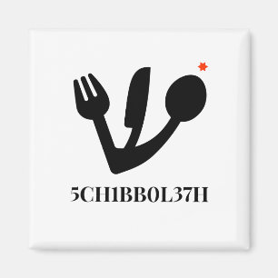 Íman ímã de refrigeração quadrada do schibboleth