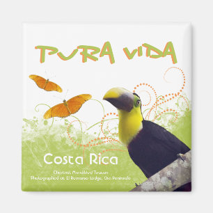 Íman Ímã de Rican Pura Vida da costela