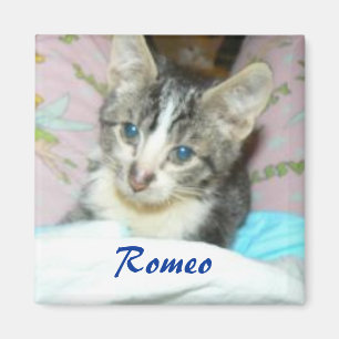 Íman ímã de romeo