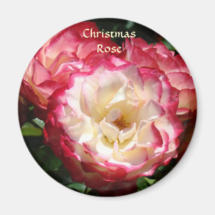 Íman ÍMÃ DE ROSA DE NATAL Rosas Rosa Brancas Ímãs