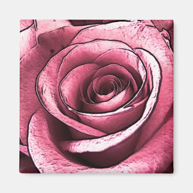 Íman Ímã de Rosa Rosa (Frente)