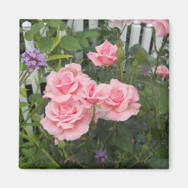 Íman Ímã de Rosas Rosas