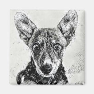 Íman Ímã de Rosto de Cachorro Fofo