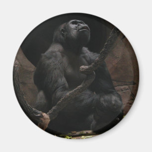 Íman Ímã de /Round do gorila