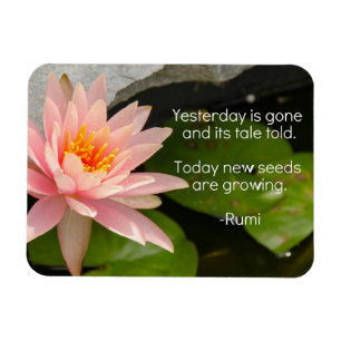 Íman Ímã de Rumi com a flor de Lotus cor-de-rosa