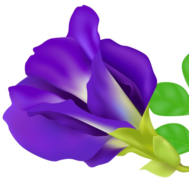 Íman Ímã de 'Save the Date' com Flor Roxa Romântica (Flower)