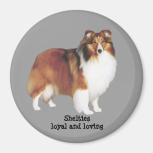 Íman Ímã de Sheltie