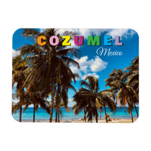 Íman Ímã de Souvenir de Viagem Cozumel México
