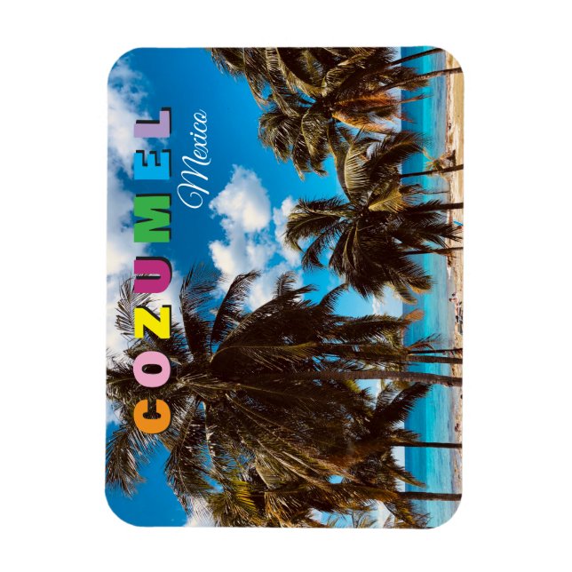 Íman Ímã de Souvenir de Viagem Cozumel México (Vertical)