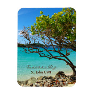 Íman Ímã de St John USVI Flexi da baía da canela