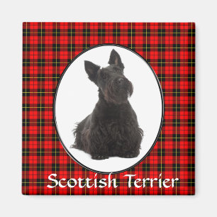 Íman Ímã de Terrier do Scottish