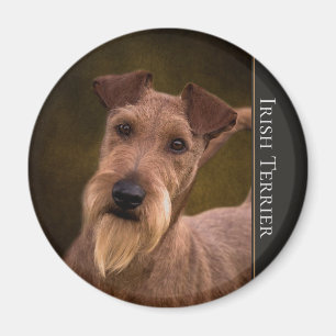 Íman Ímã de Terrier irlandês
