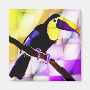 Íman Ímã de Toucan