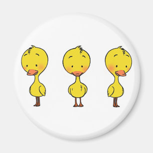 Íman Ímã de três patos