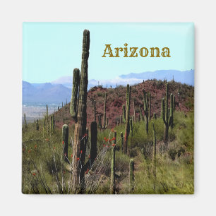 Íman Ímã de Tucson Arizona