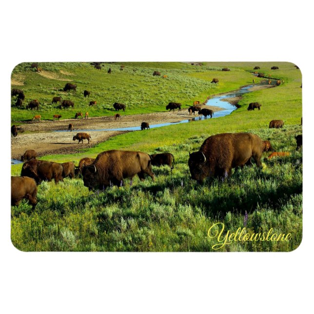 Íman Ímã de Yellowstone (Horizontal)