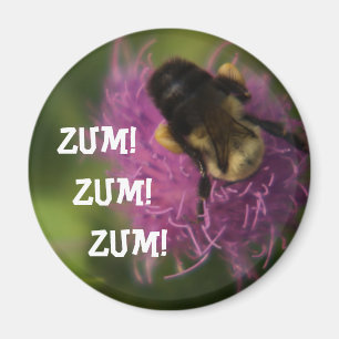 Íman Ímã de Zum Zum Zum