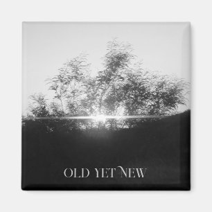 ÍMAN ÍMÃ DECORAÇÃO DE ARTE & DESIGN