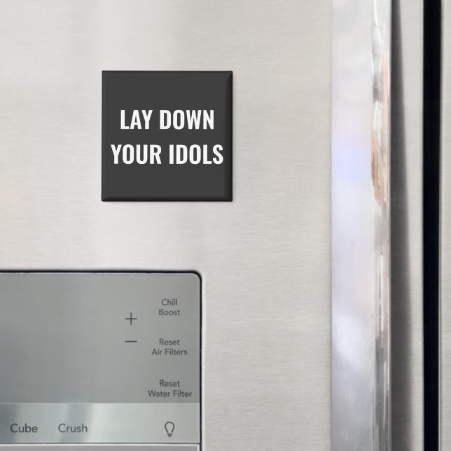 Íman Ímã Deixe Seus Ídolos (In Situ (Fridge))