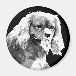 Íman Ímã descuidado do spaniel de rei Charles