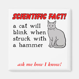 Íman Ímã Divertido Martelo de Gato Humor